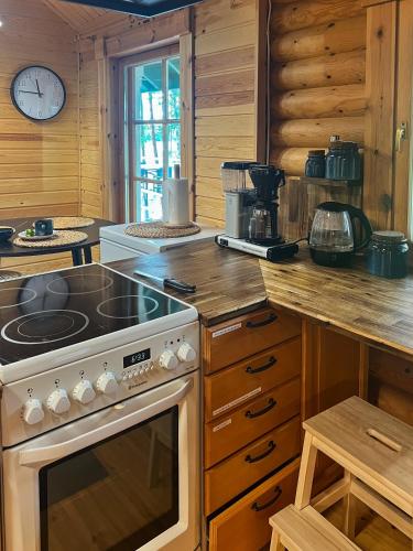 Villa Kapyla - Charming Lakeside Cabin with Sauna in Urjala
