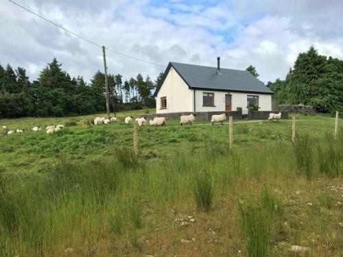 נוף חוץ, Countryside Cottage in Connemara in אוגחטררד