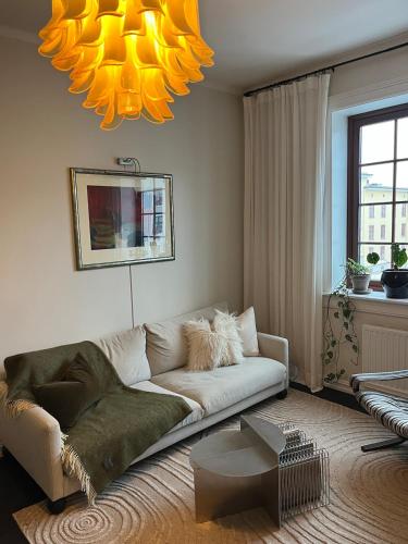 Newly renovated apartment - 15 min from city center in 薩基內