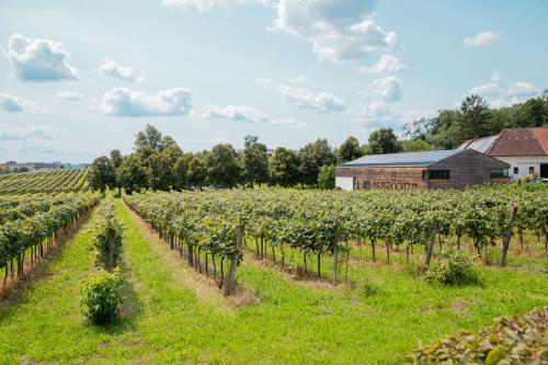 Two-Bedroom Family Apartment