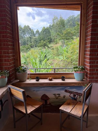 Dārzs, Chameleon Eco Farm Stay and Cultural Tours in Lushoto