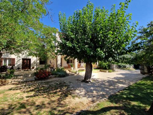 Apartman Gina in Golas