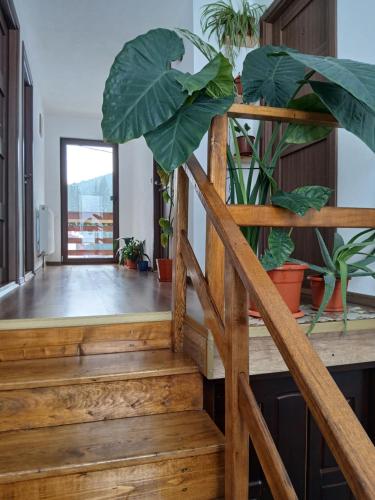 Casa Ianis in Arieseni
