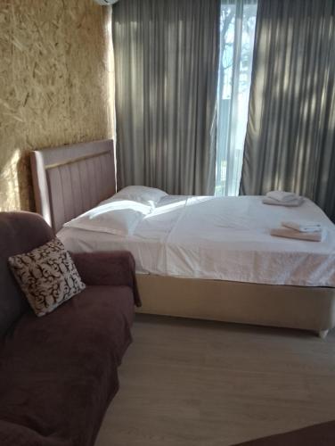 1 queen bed, 1 twin bed, 1 sofa bed