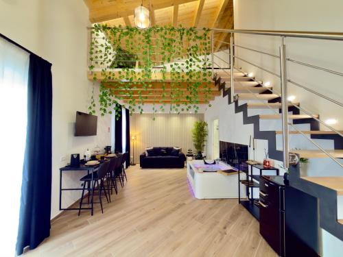Montana Suite