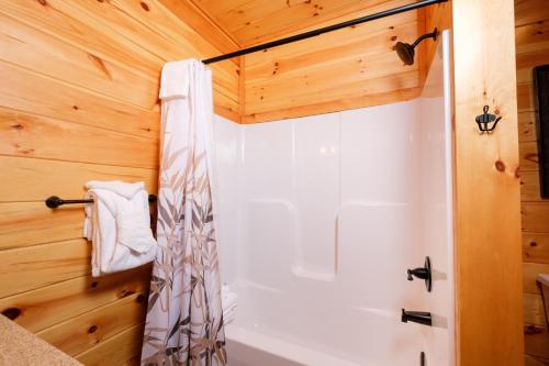 Dolly Bear Pool Cabin Make a Splash Smoky-Style - image 7