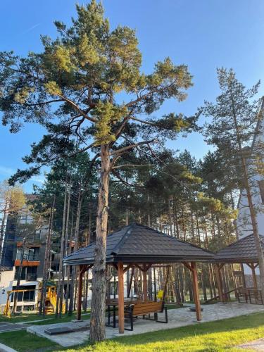 Apartman Sima Divčibare (Apartman Sima Divcibare) in Divcibare