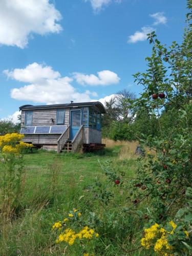 EcoPod Holidays