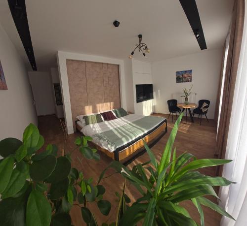 Sauna Cafee & Beds in Cesky Tesin