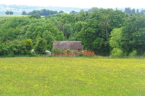 Iekārtas, 5 Bed in Clows Top oc-m32976 in Lindridge