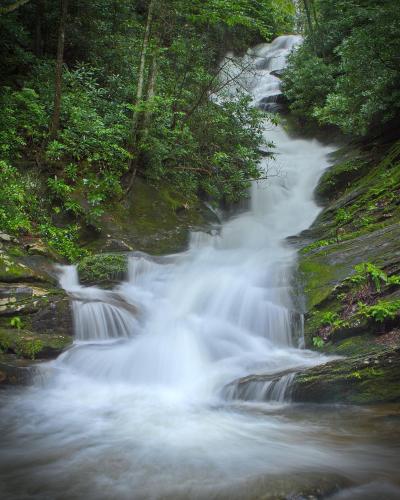 Mt Mitchell Cabin Rentals - image 8