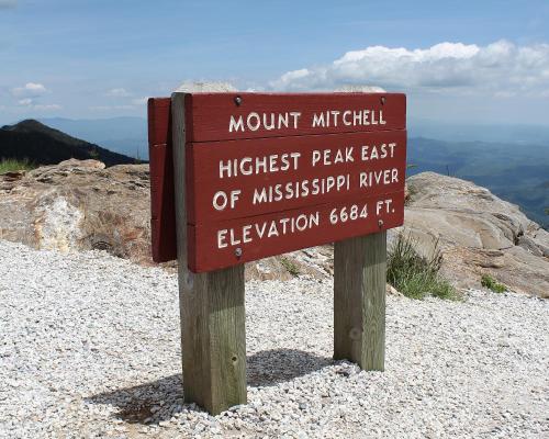 Mt Mitchell Cabin Rentals - image 9