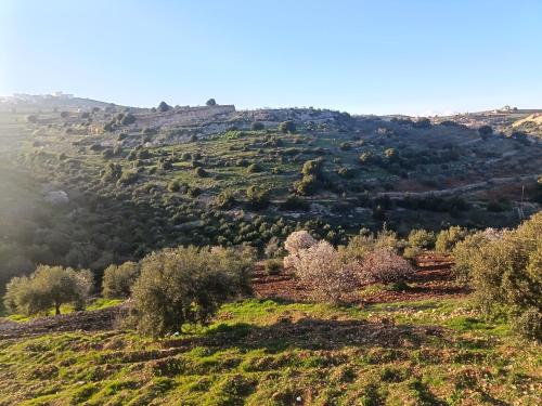 بيت ريفي و اطلاله جميله in Ajloun