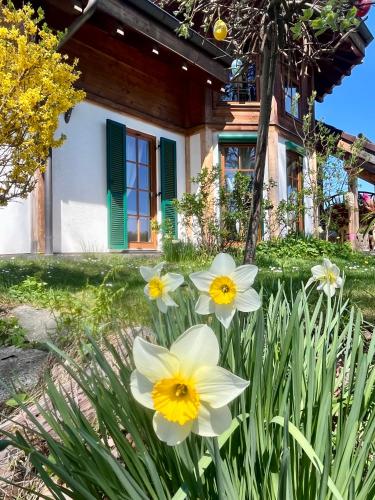 LaDolceVital im Tiroler Holzhaus mit Talblick in Bad Elster, Deutschland