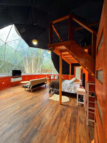 Jagatud salong / TV-ala, Domo ancud glamping in Ancud