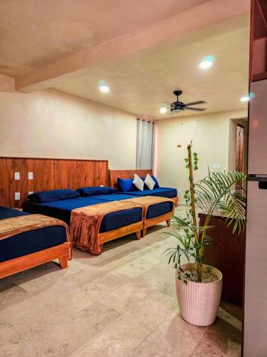 Santuario Apartments in Chemuyil, Mexico