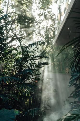 NAJ Tulum - image 4
