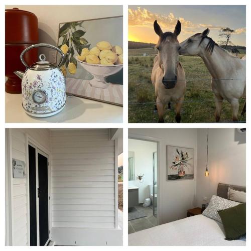 Wildflower Quarters - Boutique Hotel-Style King Countryside Suite in Heyfield
