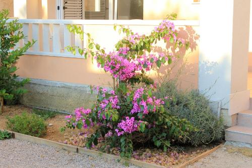 Apartment Novalja 9403d - image 3