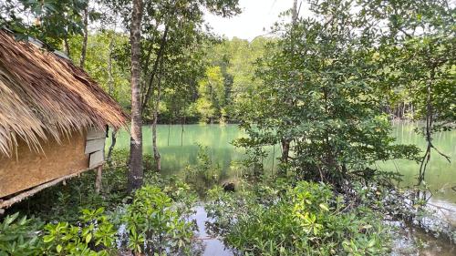 At Thara Aonang in Nopparat Thara
