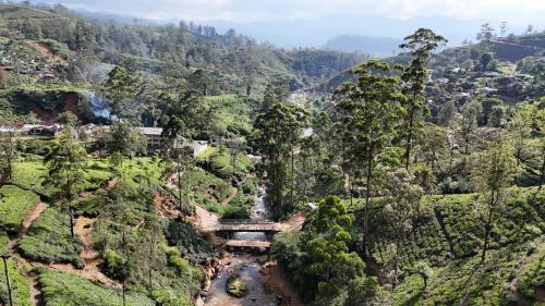 Stay Logi Nanuoya in Nuwara Eliya