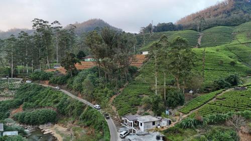 Stay Logi Nanuoya in Nuwara Eliya