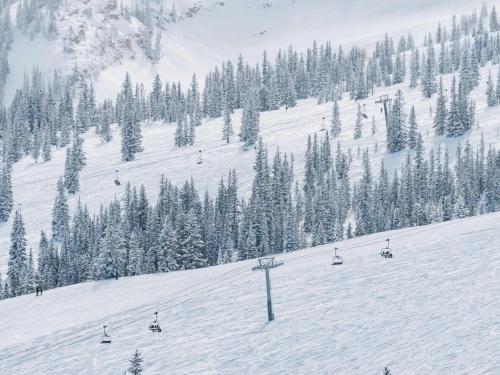 Aspenwood a Destination by Hyatt Residence - image 39