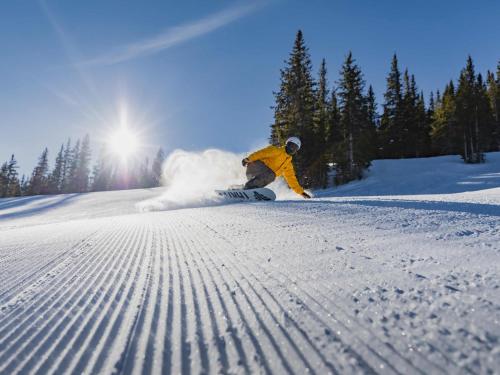 Lichenhearth a Destination by Hyatt Residence - image 27