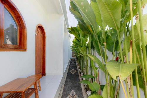 Hage, Casa Feliz Guest House in Bangli