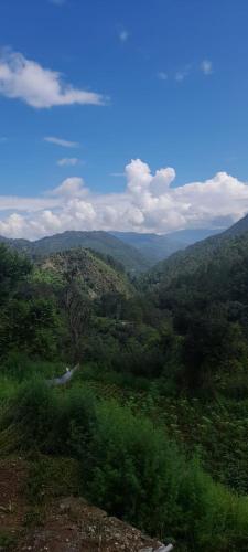 Lovely home stay photo 4