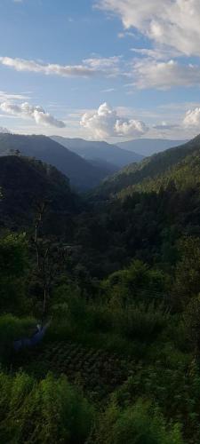Lovely home stay photo 5