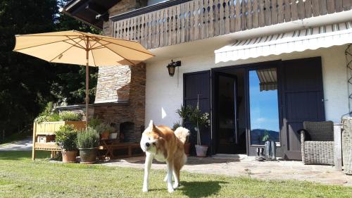 Vacation home near Gretschitz with beautiful panorama in Eberstein
