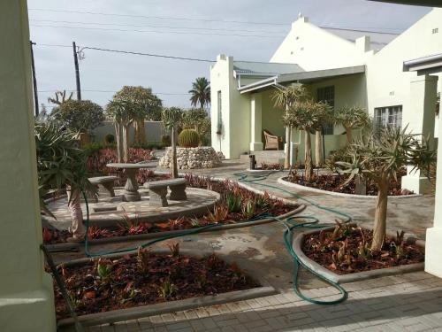 Garden, Kokerboom House in Vanrhynsdorp