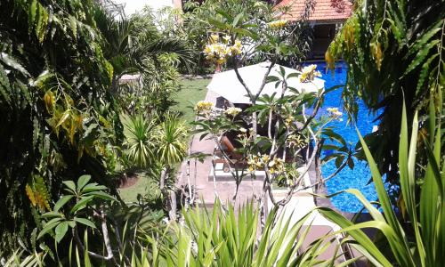 ニットヤ ホームステイ レンボンガン