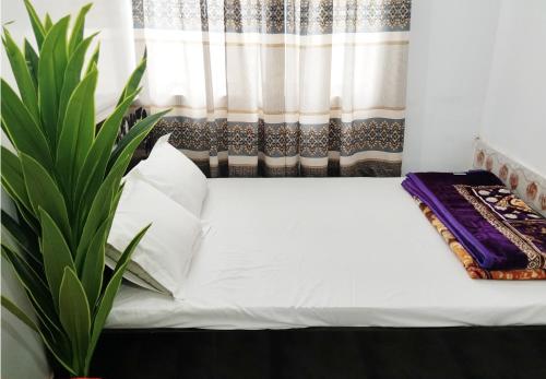 Hotel Taqwa Dhanmondi - Dhaka
