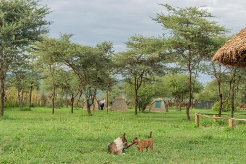 Naramatisho Womens Centre & Maasai Cultural Stay in Monduli