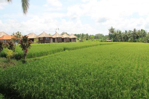 Taman Bintang Villa Ubud – Ubud, CO