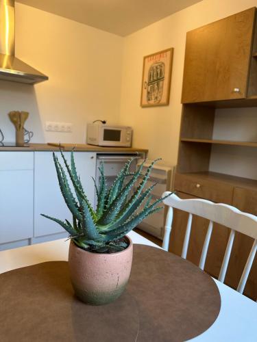 Charmant studio avec jardin arboré 15 min de Caen (Charmant studio avec jardin arbore 15 min de Caen) in Одрьо