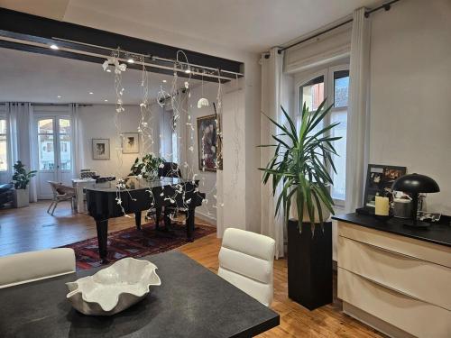 Appartement de charme au coeur de Salies de Béarn- Art, musique et lumière au confort premium (Appartement de charme au coeur de Salies de Bearn- Art, musique et lumiere au confort premium) in 薩利耶德貝阿爾恩鎮中心