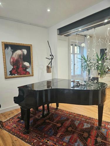 Appartement de charme au coeur de Salies de Béarn- Art, musique et lumière au confort premium (Appartement de charme au coeur de Salies de Bearn- Art, musique et lumiere au confort premium) in 薩利耶德貝阿爾恩鎮中心