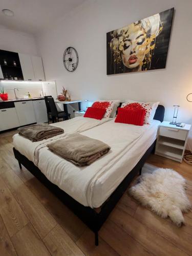 Central cozy cute studio
