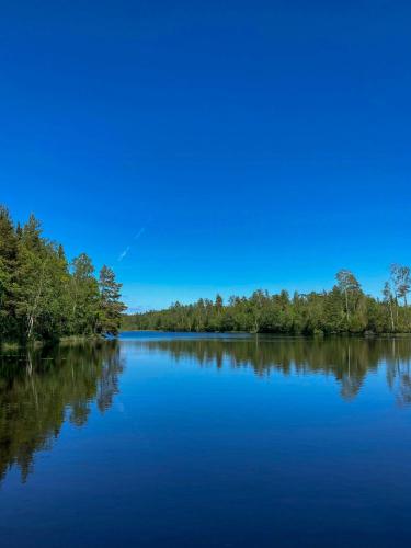 Viesnīcas āriene, Off-Grid Cabin In Your Private Swedish Forest in Bygget