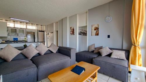 Seagull 404 in Margate