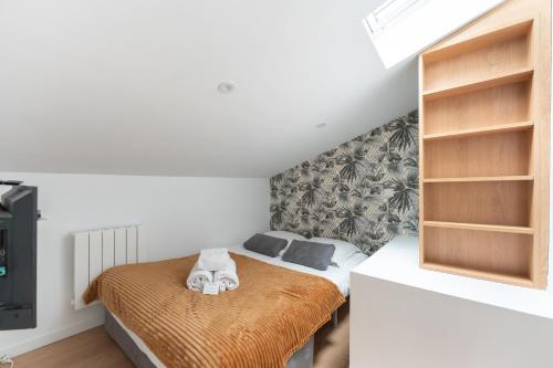 Le Petit Canut - T1 sous les toits avec vue