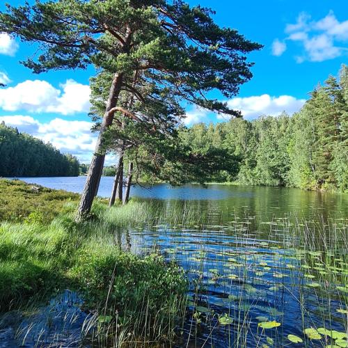 Skats, House in the heart of Dalsland-Sweden in Haverud