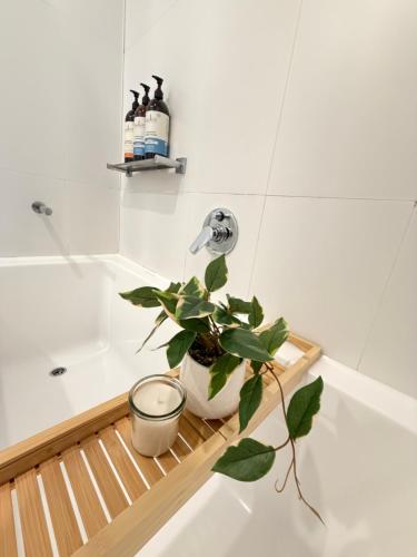 Stylish Escape near DFO and Sydney Olympic Park in Drummoyne