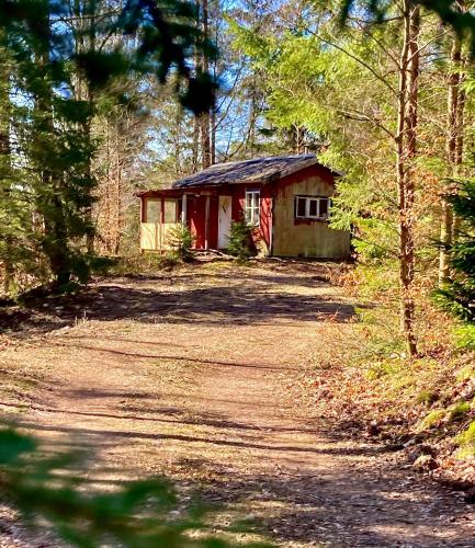 Viesnīcas āriene, Off-Grid Cabin In Your Private Swedish Forest in Bygget