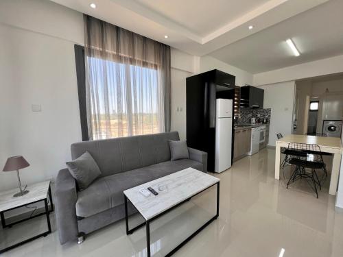 Tezer Plaza North Lefkosa 2 Bedroom Apartments – khách sạn tại Ortakoy