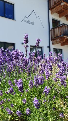 One-Bedroom Apartment with Balcony