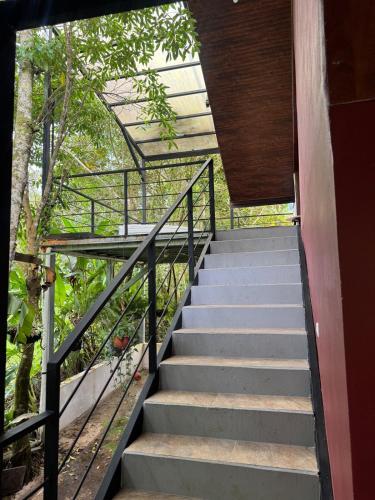 Nara Cabin in Bajos del Toro